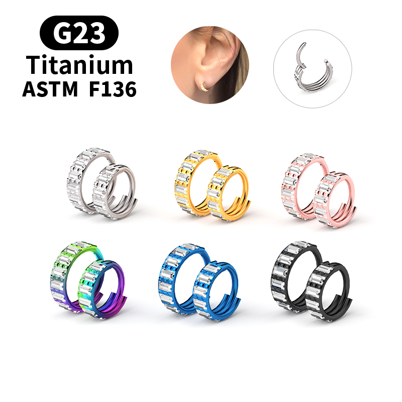 G23 Titanium Zircon Hinged Seg - Body Jewelry Nipple Rings review and price
