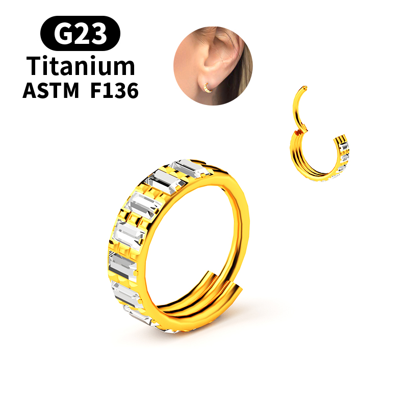 G23 Titanium Zircon Hinged Seg - Body Jewelry Nipple Rings review and price