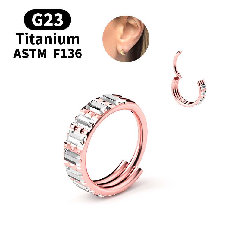 G23 Titanium Zircon Hinged Seg - Body Jewelry Nipple Rings review and price