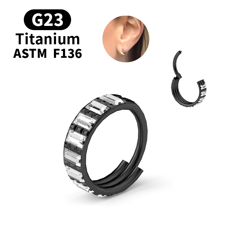 G23 Titanium Zircon Hinged Seg - Body Jewelry Nipple Rings review and price