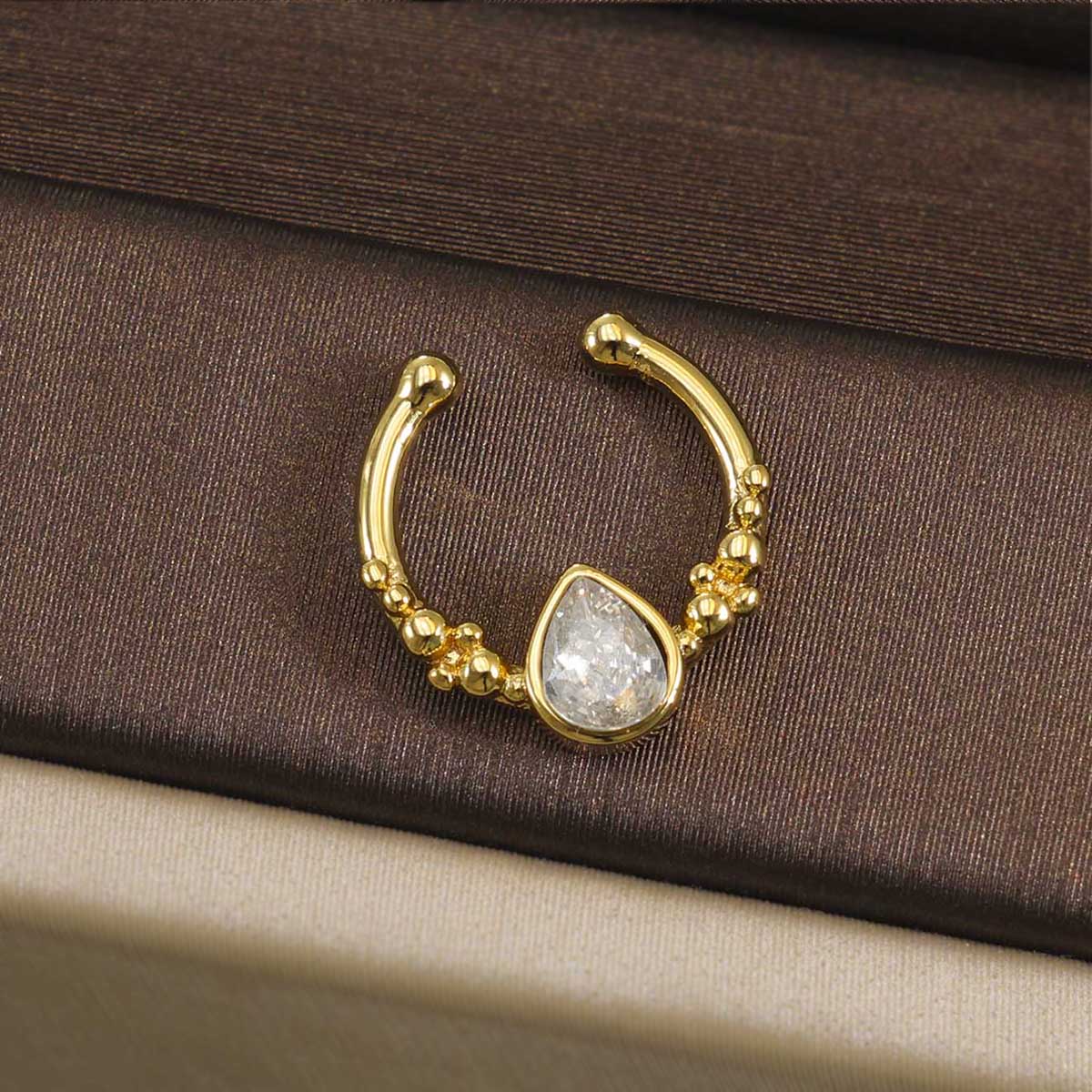 316L Stainless Steel Septum Cl - Helix Cartilage Ring review and price