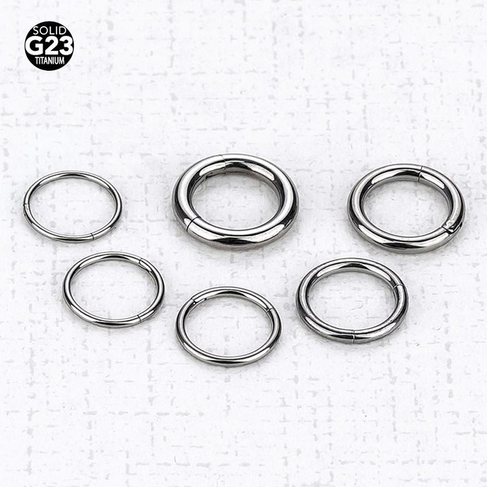 1PC G23 Titanium Hinged Segmen - Body Jewelry Nipple Rings review and price